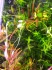 copy_74_IMG_20200916_180010_BURST1.jpg