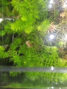 IMG_20210112_131435.jpg