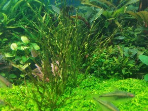 IMG_20210128_153729.jpg