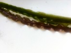 IMG_E0123.JPG