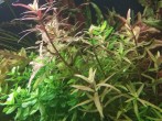 copy_345_IMG_20201210_102250.jpg