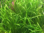 copy_620_IMG_0045.jpg