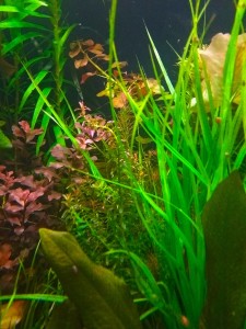 copy_733_IMG_20201210_103201.jpg