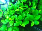 IMG_20210227_082847.jpg