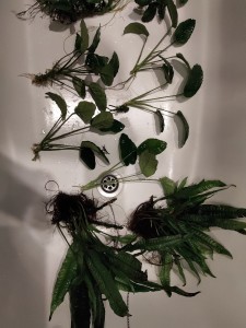 P10202-154429.jpg
