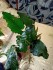 IMG20210328152642.jpg