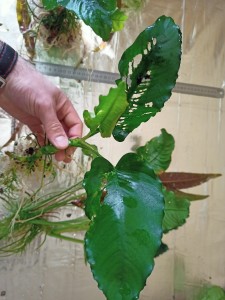 IMG20210328152707.jpg