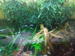 IMG_20201116_181741.jpg