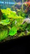 IMG_20210302_161621.jpg