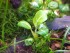 copy_23_20210225_102338.jpg
