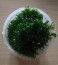 copy_274_Lomar2.jpg