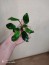copy_478_IMG_20210205_222318.jpg
