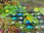 IMG_20210320_171227.jpg