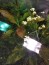 IMG_20210418_163414429.jpg