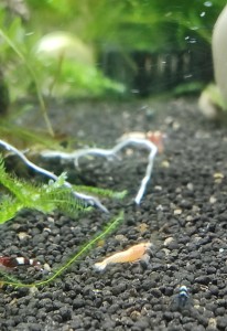IMG_20210421_120735.jpg