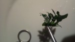 IMG_20210426_200714.jpg