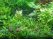 copy_912_IMG_20181011_122836.jpg