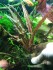 ef2156be-3f87-4d5d-964f-f0ac0f36eb98.jpg