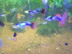101_0007.JPG