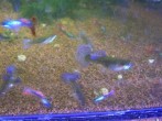 101_0015.JPG