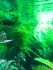 15784456-8817-48d5-a944-f775acf8a274.jpg