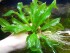 DSCN5432.JPG