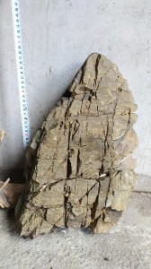 IMG_20210504_143116.jpg