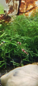 copy_359_IMG_20210517_093136.jpg
