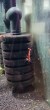 copy_495_IMG_20210512_084157.jpg