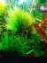 copy_823_IMG_20201223_202942.jpg
