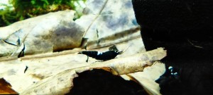 copy_926_IMG_20210522_085823.jpg