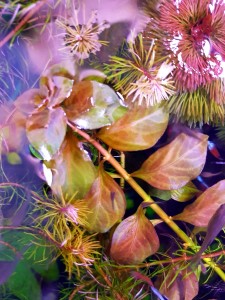 20210602_122118.jpg