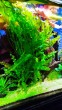 IMG_20210614_205956.jpg