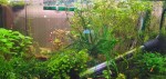 copy_861_copy_118_20210508_170626.jpg