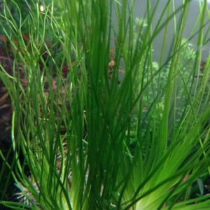 IMG-7b73902e3deab7be883e10d3b0cbdec1-V.jpg