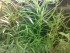 copy_260_010720161578.jpg