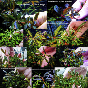 Без имени-1.jpg