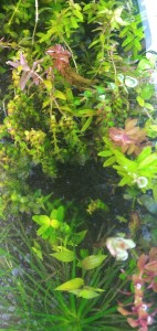 copy_725_IMG_20210815_155909.jpg