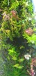 copy_725_IMG_20210815_155909.jpg