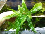 DSCN5587.JPG