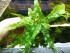 DSCN5587.JPG