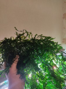 IMG_20210925_212119.jpg