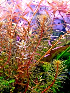 copy_36_20210922_091446-1.jpg