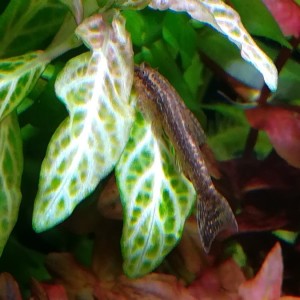 IMG_2884.JPG