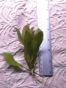 photo1634545810 (7).jpeg