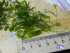 DSCN0252.JPG