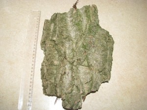 IMG_1149.JPG