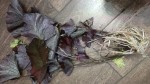 IMG_20211109_171651.jpg