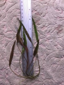 photo1635762350 (8).jpeg