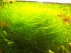 101_0007.JPG